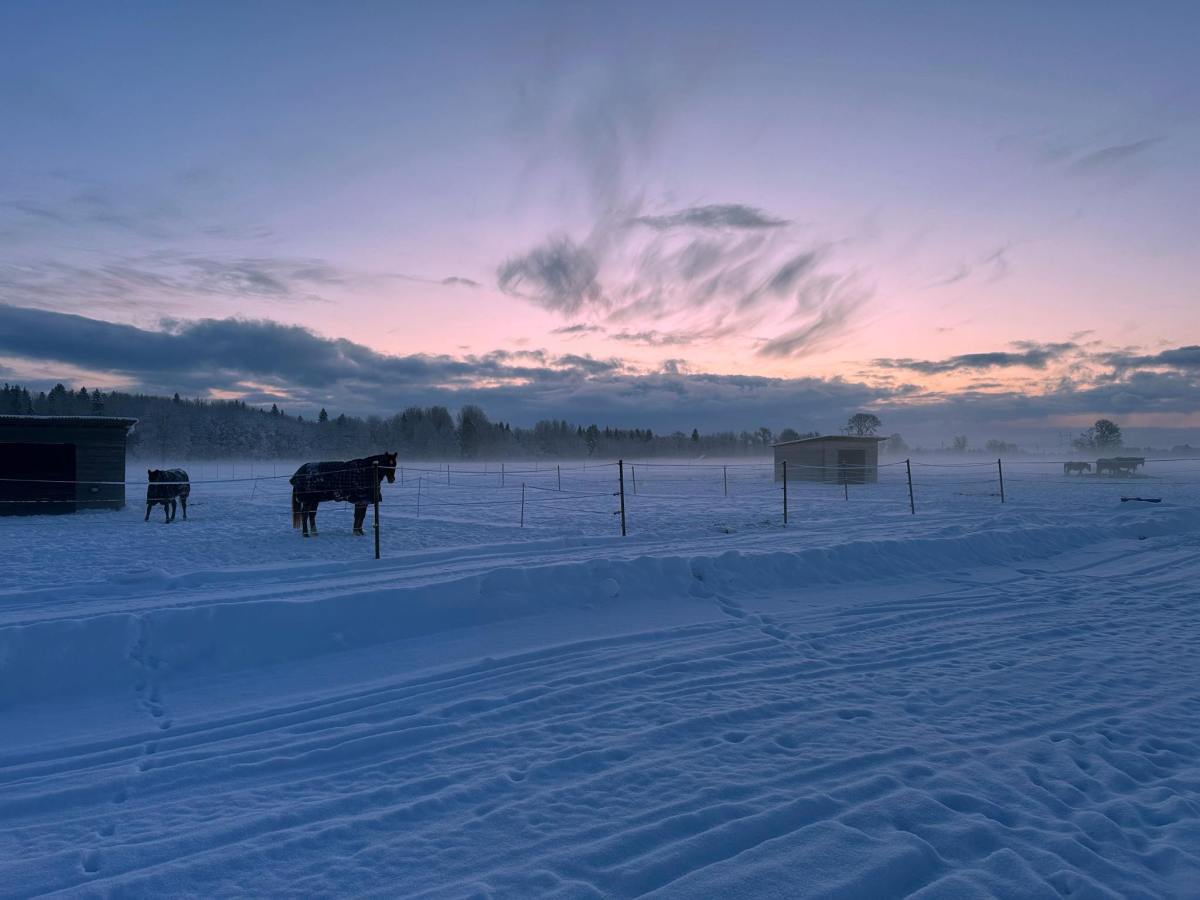 2023. aasta kokkuvõte